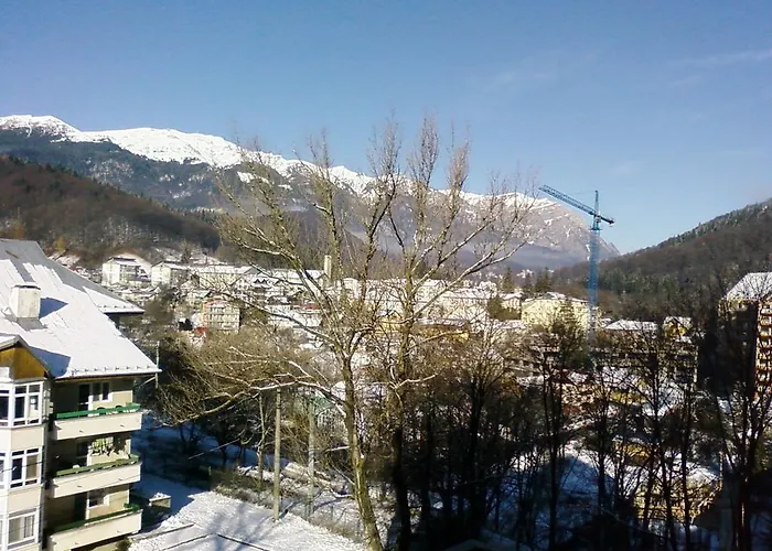 Mountain View Nest
