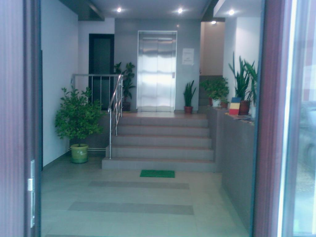 Mountain View Nest *