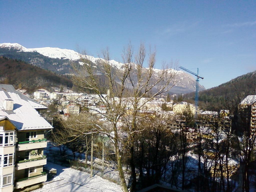 Mountain View Nest Apartment Sinaia