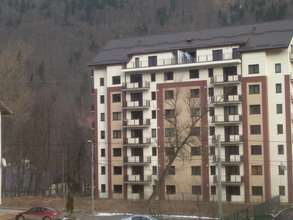 Mountain View Nest Apartment